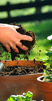 Gartenarbeit mit den Händen